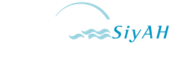 logo INA